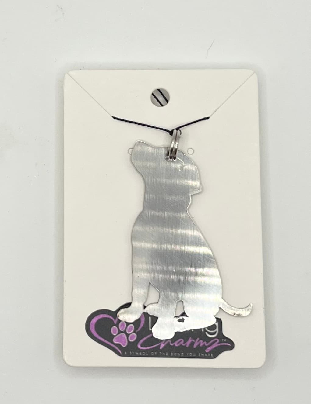 Companion Charm